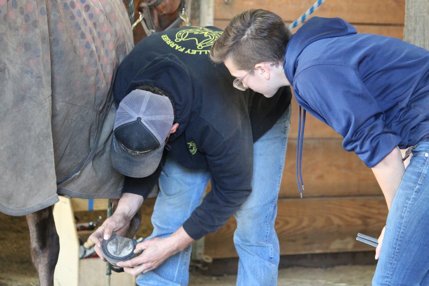 Practical Farrier Program